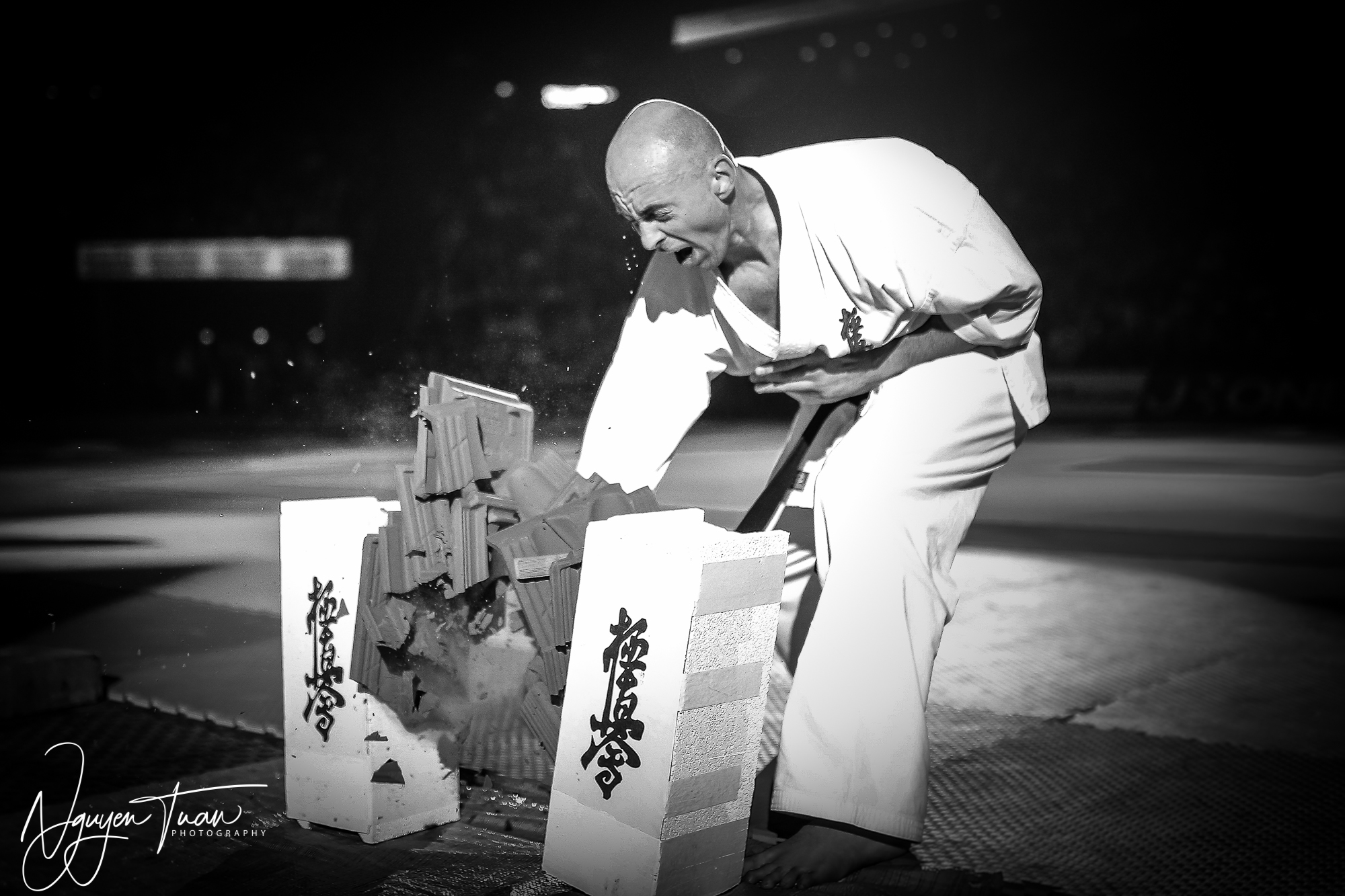 20190324 Festival des Arts Martiaux 5886